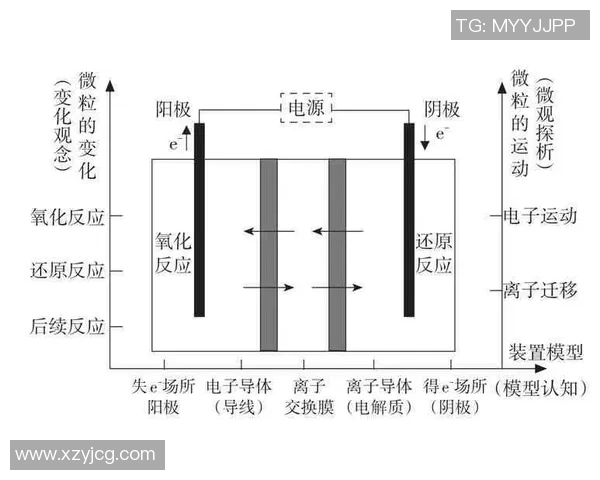 成都排球队在锦标赛中的技术表现分析与点评
